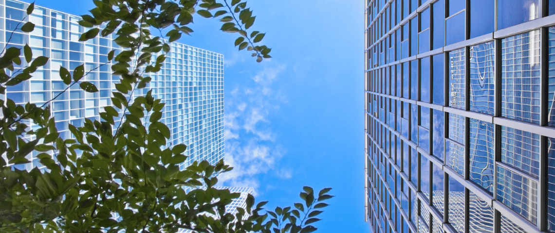 Irish Start‑Ups Jump 14% Despite Economic Pressures